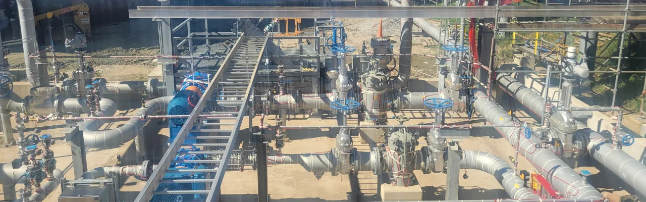 Upstream strainer filters